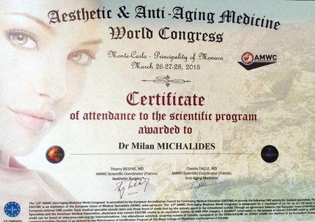 Certificate Milan Michalides